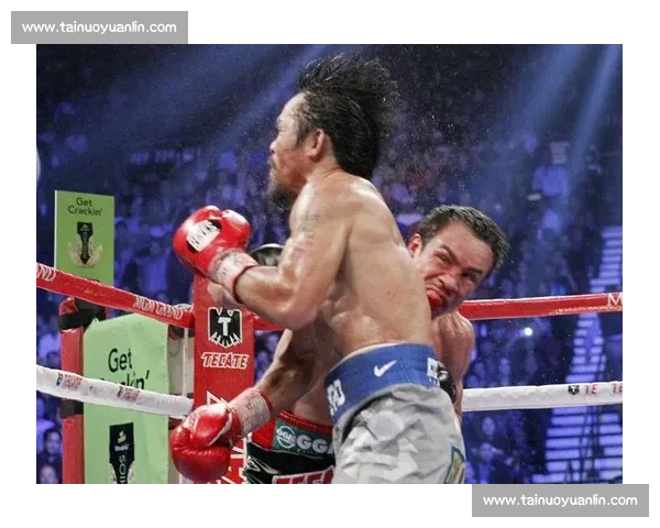 拳坛巅峰对决阿瓦雷兹迎战马奎兹全程高能回顾解析视频经典瞬间战术 拳坛巅峰对决阿瓦雷兹迎战马奎兹全程高能回顾解析视频经典瞬间战术