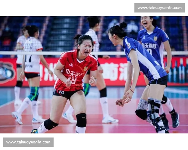 江苏女排对阵塞尔维亚直播平台及播出频道全解析时间赛程看点一览