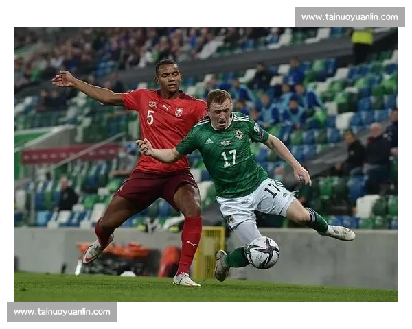 白俄罗斯对阵新西兰的战术博弈与赛场看点前瞻解析实力对比走势