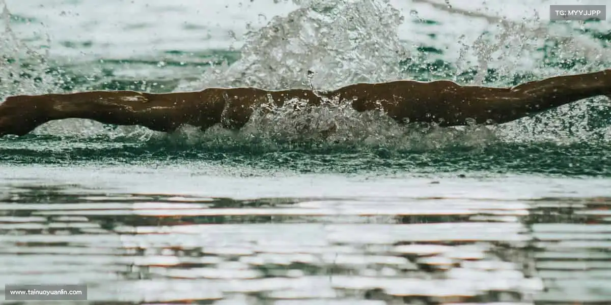 行业领先的理由